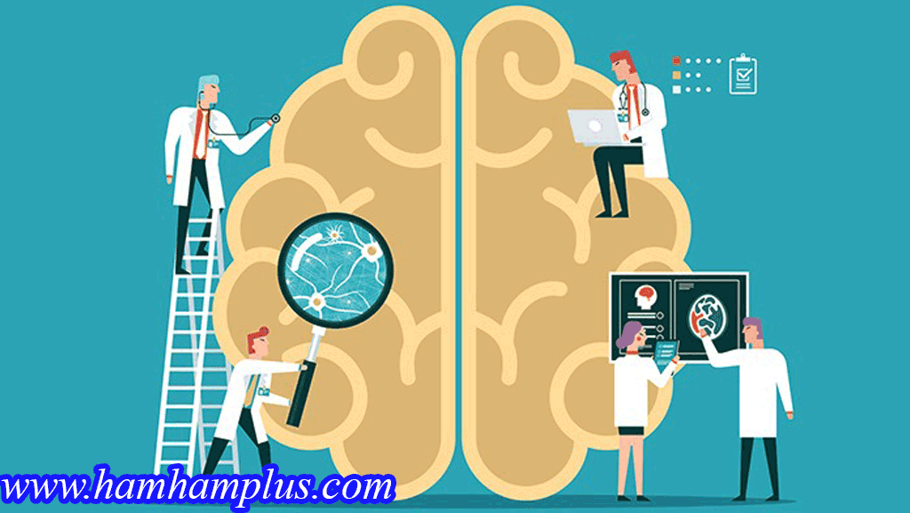 تقویت حافظه و بررسی مغزانسان
